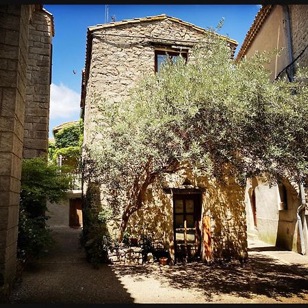 B&B Vigne Vierge Aigne  Zewnętrze zdjęcie