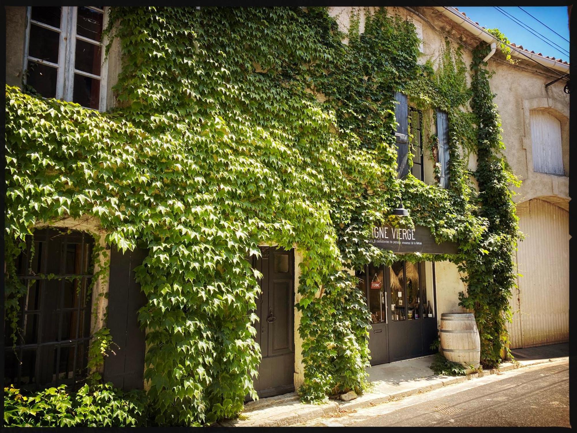B&B Vigne Vierge Aigne  Zewnętrze zdjęcie